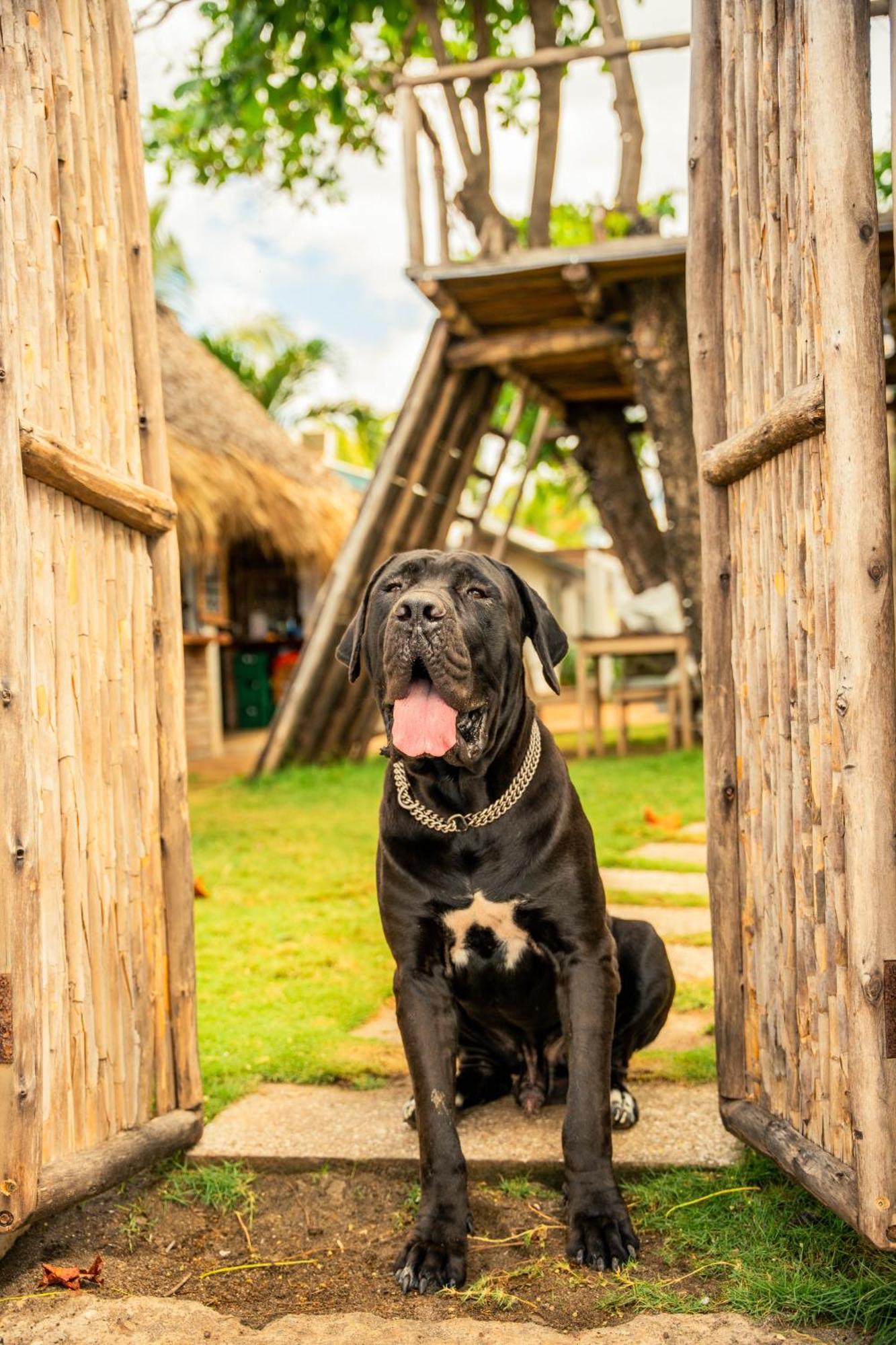 Jakes On The Beach Las Peñitas Exterior foto
